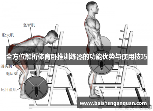 全方位解析体育卧推训练器的功能优势与使用技巧