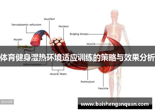 体育健身湿热环境适应训练的策略与效果分析